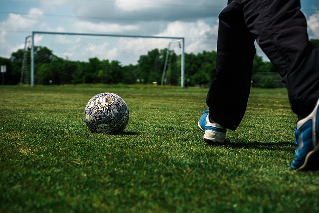 世界杯D组抽签出炉：美国、巴拉圭、澳大利亚、欧洲附加C胜者